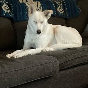 Meet your Posher, Luc